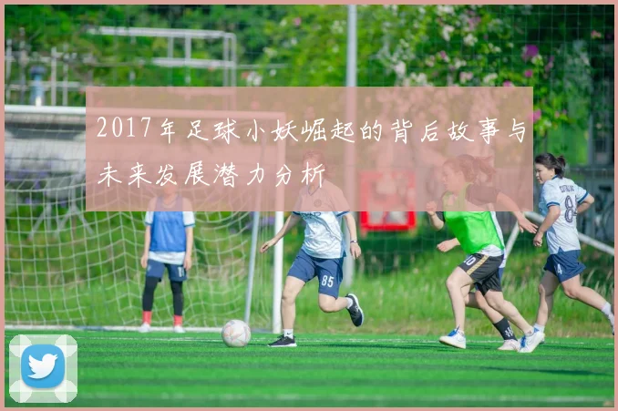 2017年足球小妖崛起的背后故事与未来发展潜力分析