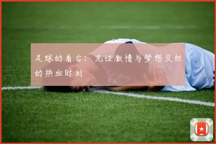 足球的看台：见证激情与梦想交织的热血时刻