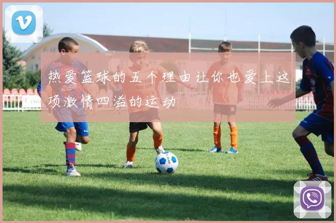 热爱篮球的五个理由让你也爱上这项激情四溢的运动