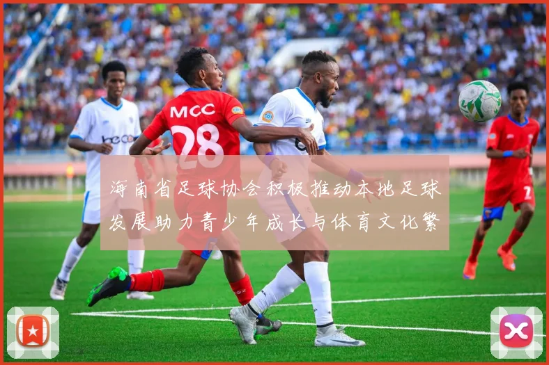 海南省足球协会积极推动本地足球发展助力青少年成长与体育文化繁荣